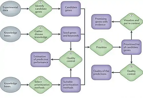 A Gene prioritization