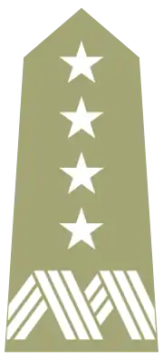 Four-star General's shoulder strap