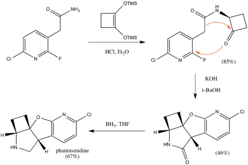 A Synthesis of phantasmidine starting at the essential step.