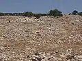 General view of ruins of Jarash