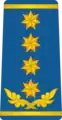 გენერალიGenerali(Georgian Air Force)