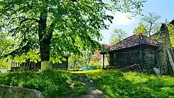 Photograph of two log cabins, one with a stone chimney, surrounded by greenery and shaded by a tall tree