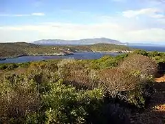 Giannutri Spalmatoio gulf with Monte Argentario