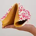 Giant Fortune Cookie