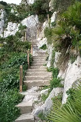 Mediterranean Steps