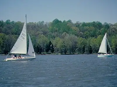 Sailboats on the lake.