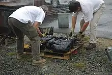 Two white men in gloves lean over black objects on a wooden pallet.