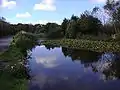 Gimingham mill pond.