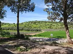 A verdant green hill near Moshav Tzafririm