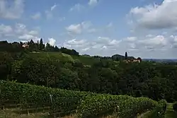 Glanz an der Weinstraße landscape