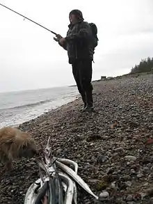 South of Grenå Beach the coast is known for angling