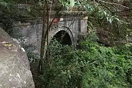 Glenbrook Tunnel (1892)