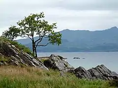 Glenuig Bay