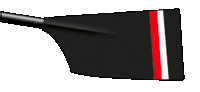 Image showing the rowing club's blade colours