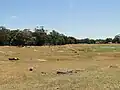 Old gold diggings at Barkly