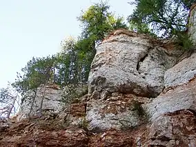 A karst cave in Pinezhsky Nature Reserve in Pinezhsky District