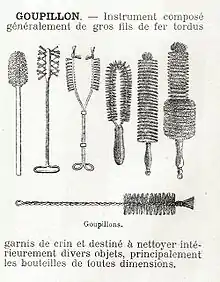 Illustration showing bottle brushes, the eponym of the plant