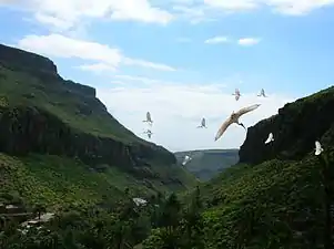 A bird show in progress at Palmitos Park