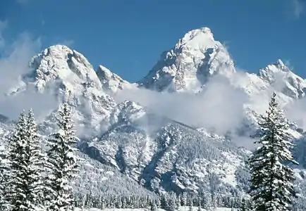 A mountain range covered in snow, with several pine trees in the foreground.