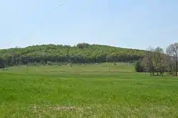 Fields and hills along Burns Road