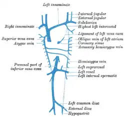 Diagram showing completion of development of the parietal veins