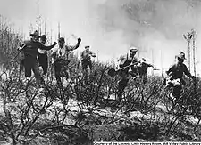 Firemen in action during 1913 fire on Mt. Tamalpais