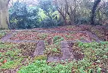 Patch of wooded land with ground-level stones