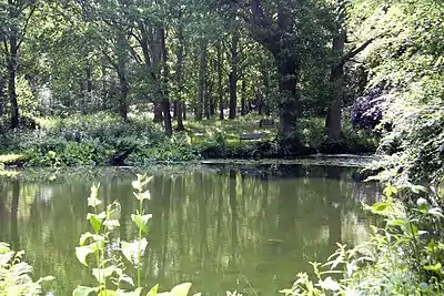 Great Culverden Park Lake