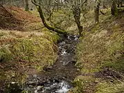 Routing Gill Beck on Great Mell Fell