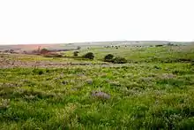 Image 11The Great Plains of Kansas (from Kansas)