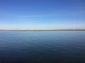 Across shimmering blue water, a flat stripe of dark vegetation can be seen beneath calm skies.