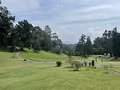 Green Area at Cibodas Botanical Garden