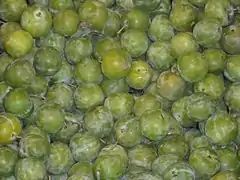 Greengages (European plum)