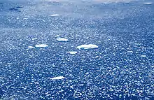 Aerial view showing an expanse of drift ice consisting mostly of water. (Scale not available.)