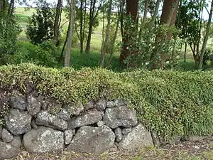 Basalt dry-stone wall with former site of Green Hill in distance