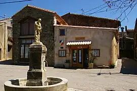 Fountain and town hall