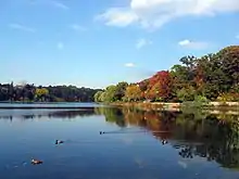 pond with colourful trees on right side bank