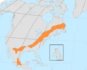 Extent of the Grenville orogeny