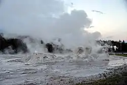 Grotto geyser in the early morning, 2019