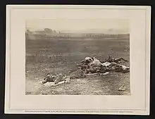 Dead soldiers at Antietam Maryland 1862 incorrectly identified and sold as dead of the Irish Brigade; another version identifies the deceased as Confederates but at the wrong location;