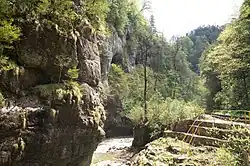 The Kurdzhips River in the Guam Gorge, Apsheronsky District