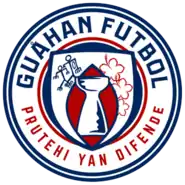 Shirt badge/Association crest