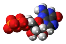 Space-filling model of the guanosine diphosphate anion