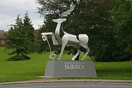 The Surrey Stag, Guildford