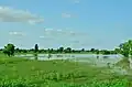 A river inside the Gujba Forest reserve