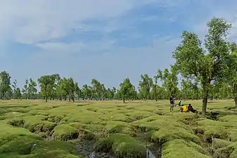 Guliakhali Sea Beach, Chittagong