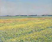 The plain of Gennevilliers, yellow fields (1884)National Gallery of Victoria, Melbourne