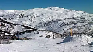 Guthega, Perisher