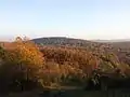 View from Alter Hollenstein