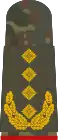 Aufschiebeschlaufe Feldanzug Heeresuniformträger General